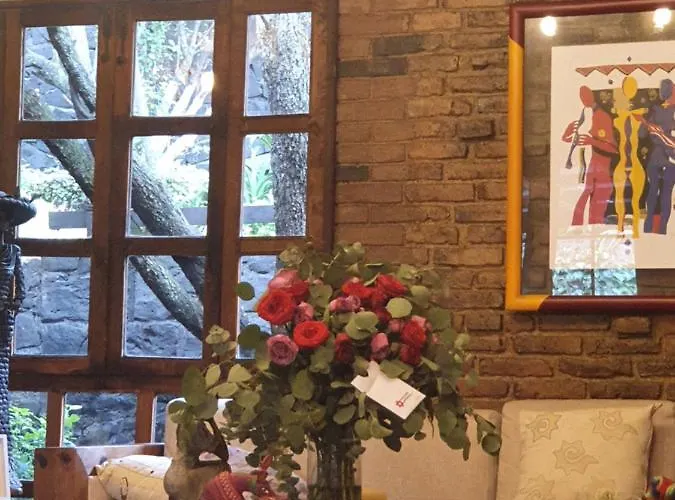 Cerca Del Colmex, Flacso Y U Pedagogica Homestay